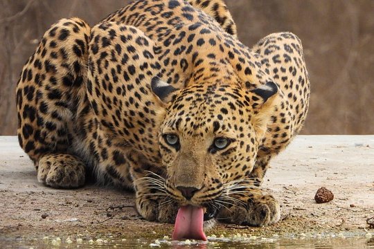 Tour image 5